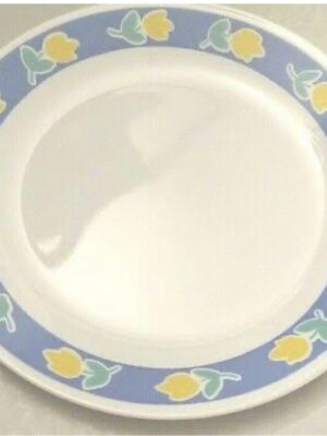 PRIMAVERA FULL PLATE | CORELLE | FULL,PLATE |  | 26 CM 6  PCS SET | 0.01