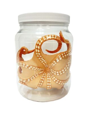 OCTOPUS JAR | SAURA | JAR,CONTAINER,STORAGE BOX |  | 1200 ML
