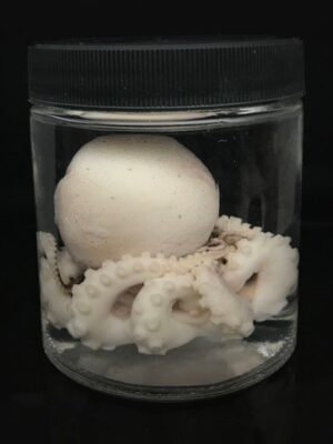 OCTOPUS JAR | SAURA | JAR,CONTAINER,STORAGE BOX |  | 2400 ML