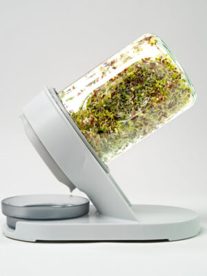 QUICK SPROUTER | CRYSTAL | SPROUTER | MKA908 | 3 KHANE