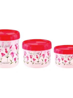 TWISTY CONTAINER | POLYSET | CONTAINER,STORAGE BOX,DABBA |  | 485 ML SET OF 2